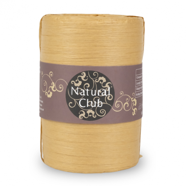 Crochet Paper Yarn 200M #41