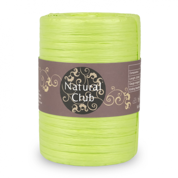 Crochet Paper Yarn 200M #45