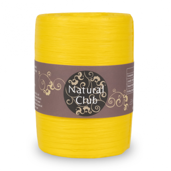 Crochet Paper Yarn 200M #46